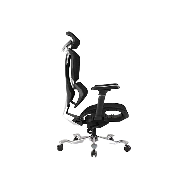Director Chair | Akhenaten | DCHR-1008 - IM