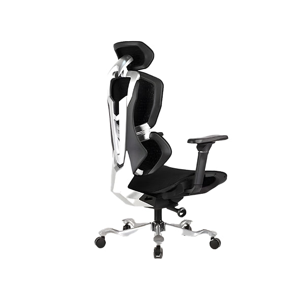 Director Chair | Akhenaten | DCHR-1008 - IM
