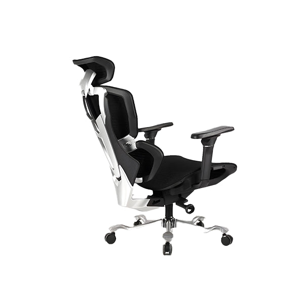 Director Chair | Akhenaten | DCHR-1008 - IM