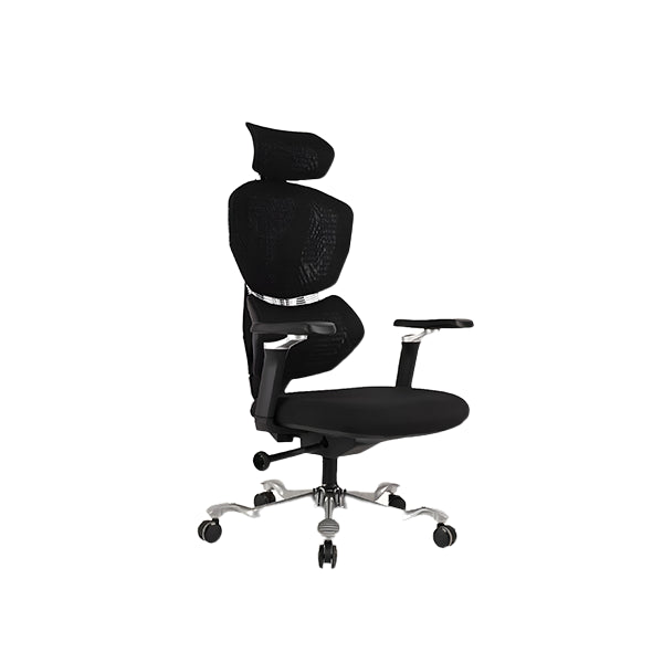Director Chair | Akhenaten | DCHR-1008 - IM