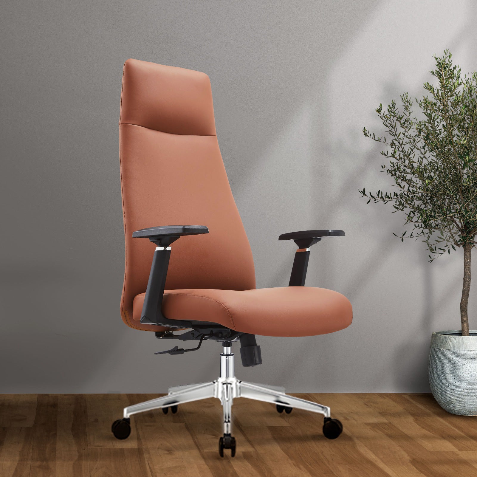 Director Chair | Saqqara | DCHR-1007-IM